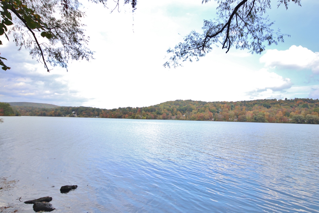 Featured Property